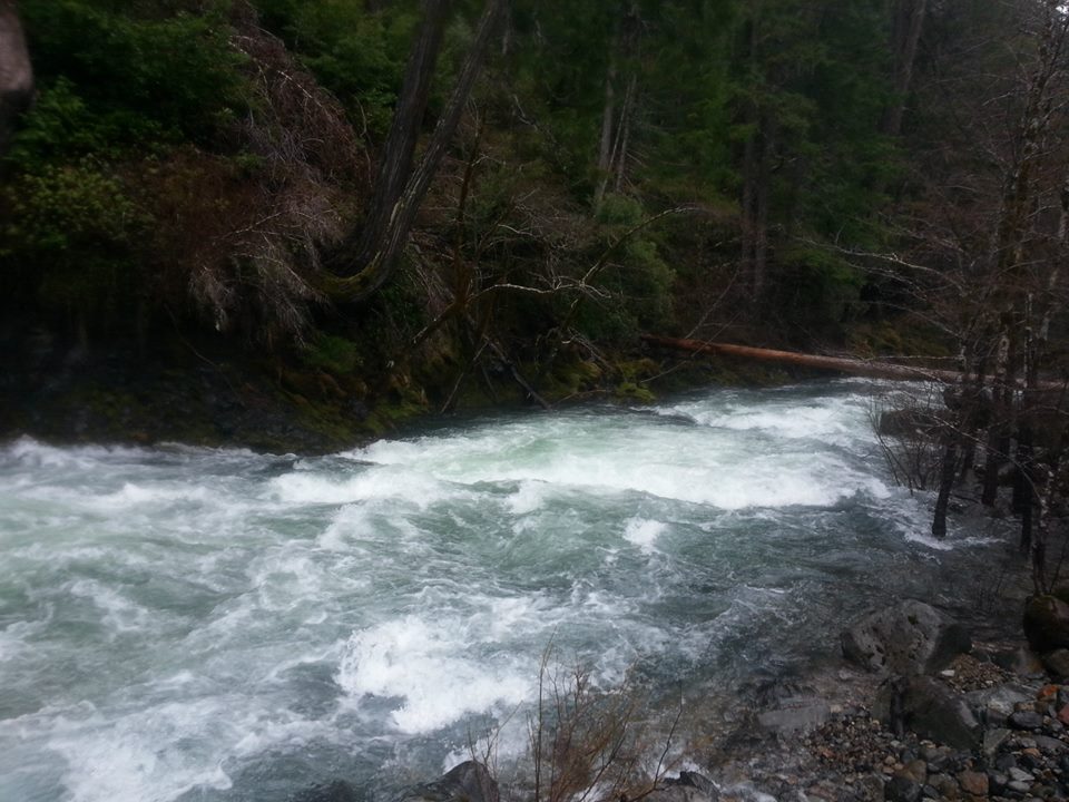 Baldface Creek Oregon