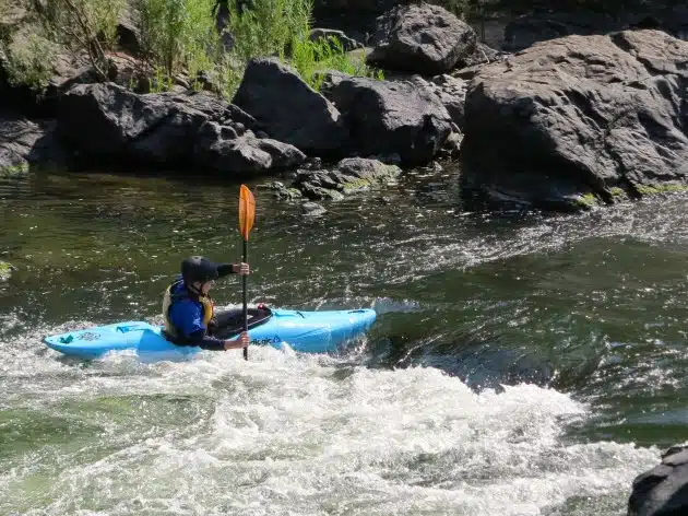 Paul Murtaugh surfing on of the many features in the Rogue River